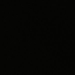 Meet your Posher, Mya